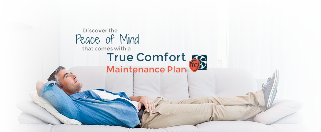 Maintenance Plans